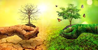 Environment Conservation